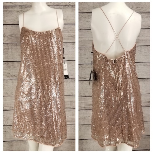 Adrianna Papell Dresses & Skirts - NWT Adrianna Papell Sequin Shift Party Dress Rose